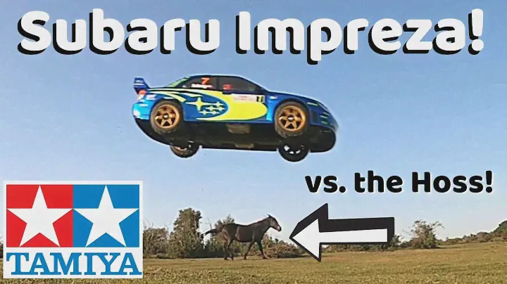 Tamiya Subaru Impreza TL-01 Chassis in Rally Based Mayhem! RC Rally Car Action.